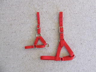Halter -Llama