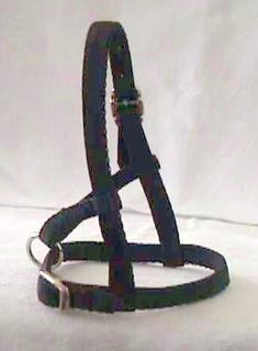 Halter - Cria Adjustable 