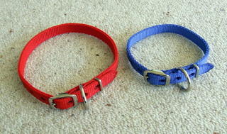 Collar - Webbing - small