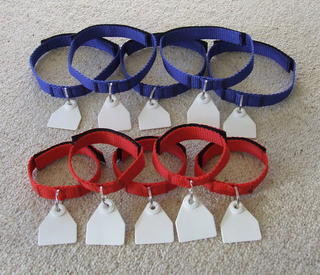 Neck Tags
