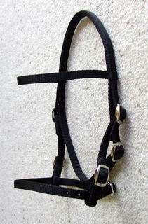 Bridle