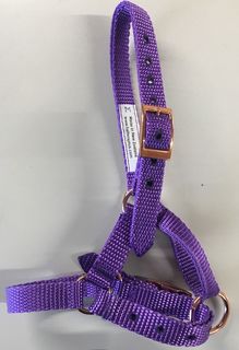 Alpaca Halter & Lead Set - ROSE GOLD FITTINGS