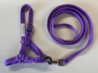 Alpaca Halter & Lead Set - Rainbow Coloured Fittings