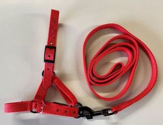 Alpaca Halter & Lead Set - Black Fitting's