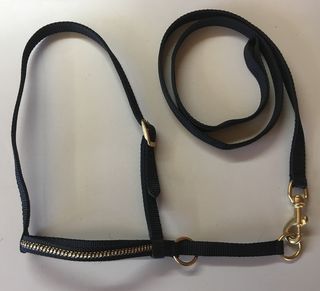 Halter - Show Set - Calf with Gold Braided Noseband