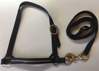 Halter - Show Set -  with Gold Braided Noseband