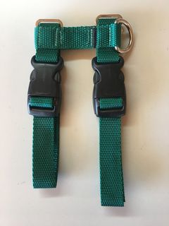Pig Harness