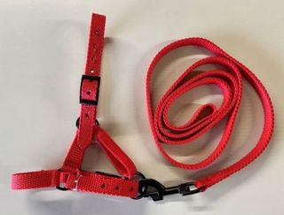 Alpaca Halter & Lead Set - Black Fitting's